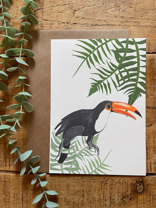 Toucan