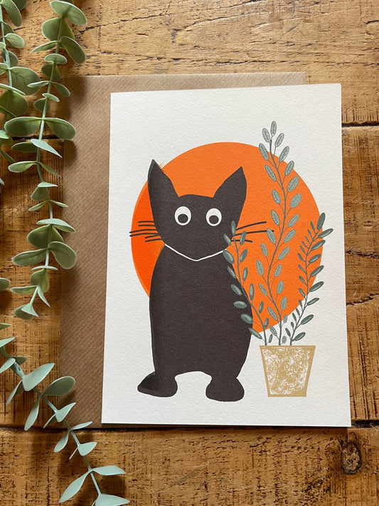 Colour pop Cat greeting card